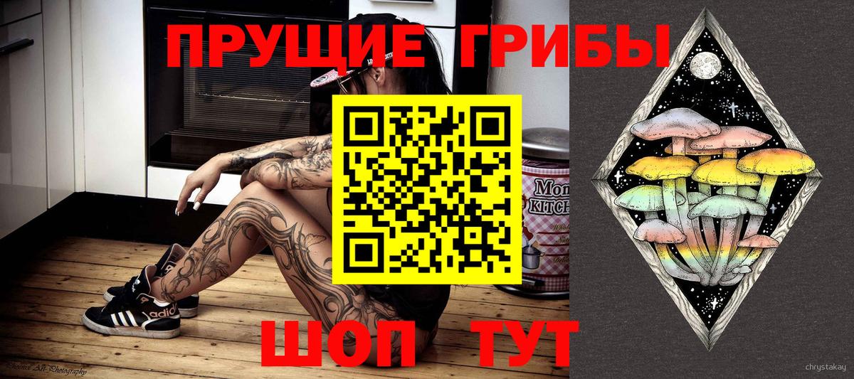 Галлюциногенные грибы Psilocybe  Вход с VPN  Белгород 