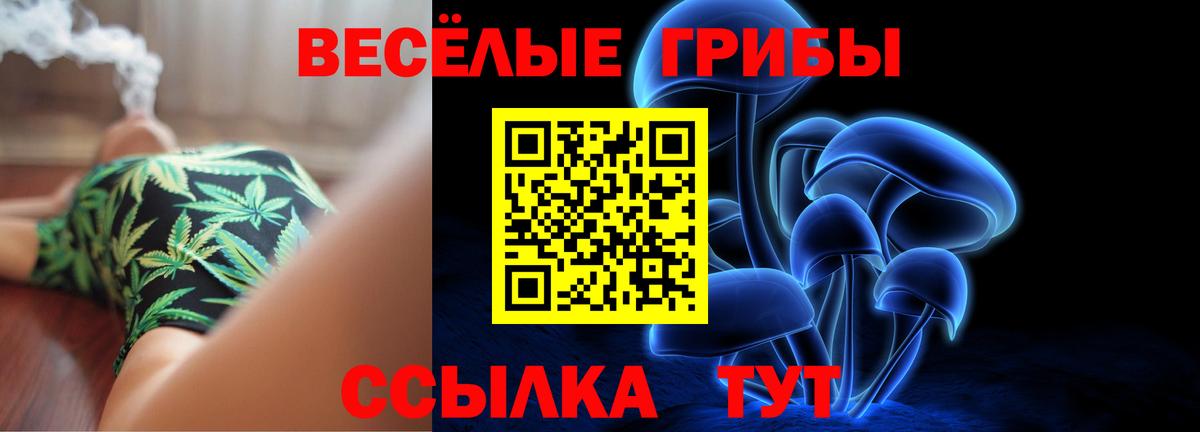 Галлюциногенные грибы Psilocybine cubensis Белгород